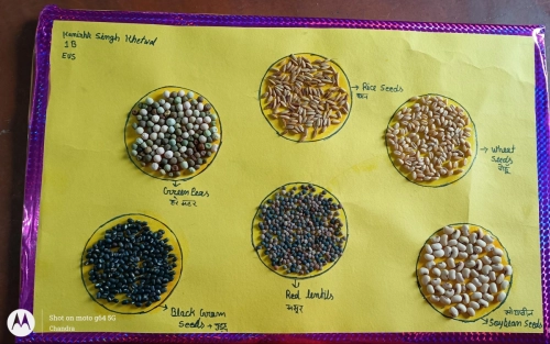 WhatsApp Image 2025-07-01 at 13.31.06