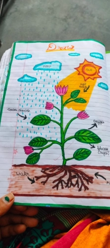 WhatsApp Image 2025-07-01 at 14.16.43 (1)