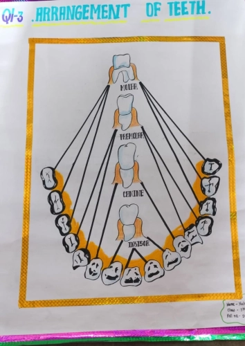 WhatsApp Image 2025-07-01 at 14.16.44 (1)