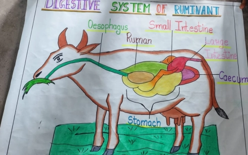 WhatsApp Image 2025-07-01 at 14.16.44